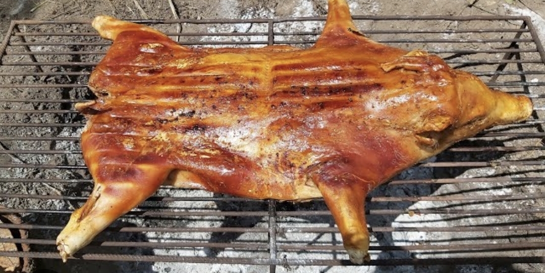 Un lechón