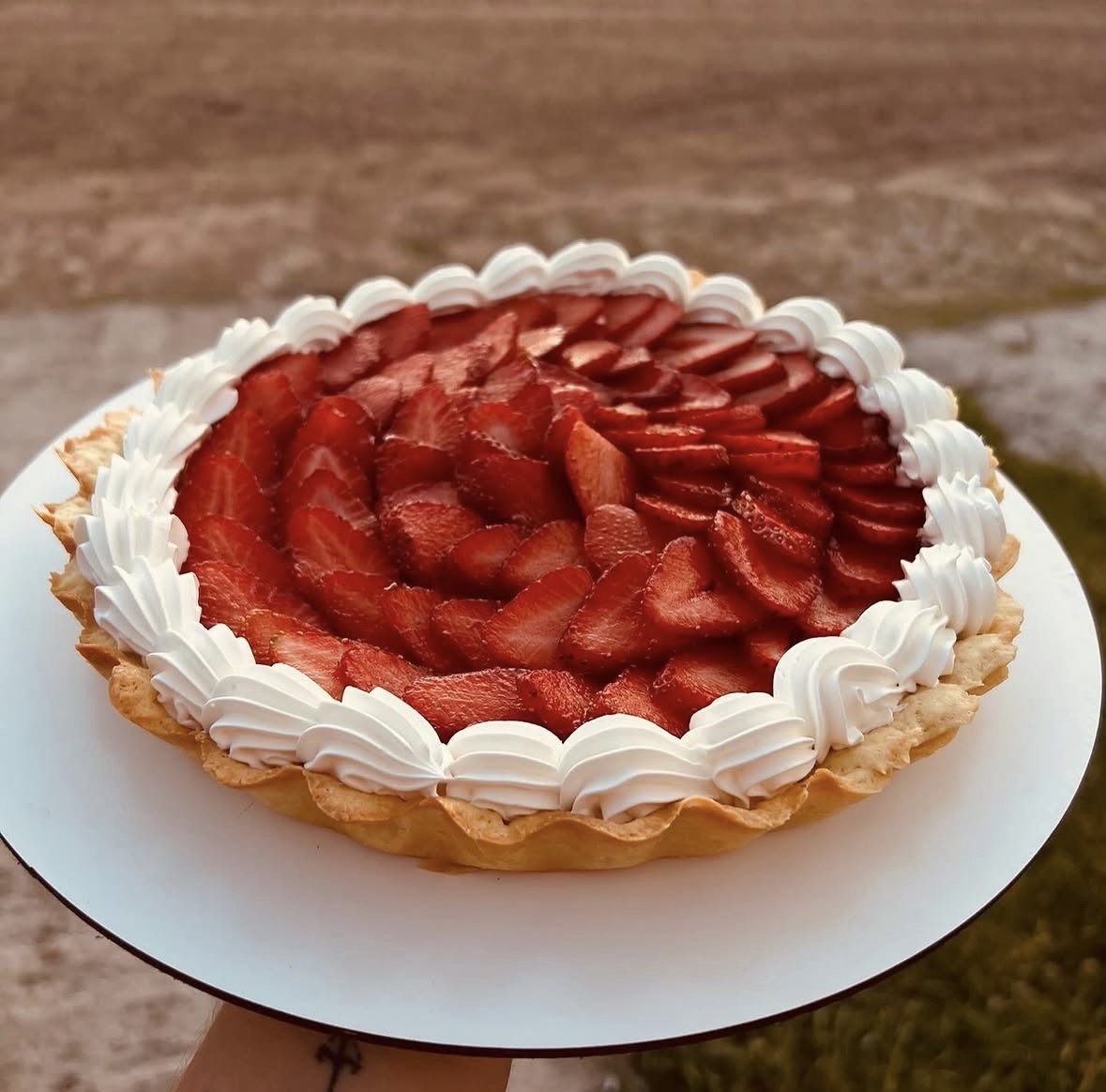 Una tarta a elección.