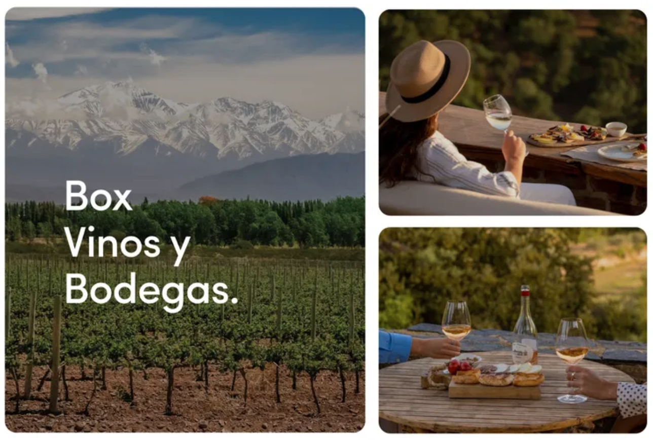 La posibilidad de descubrir el mundo del vino en las bodegas más destacadas de Argentina.