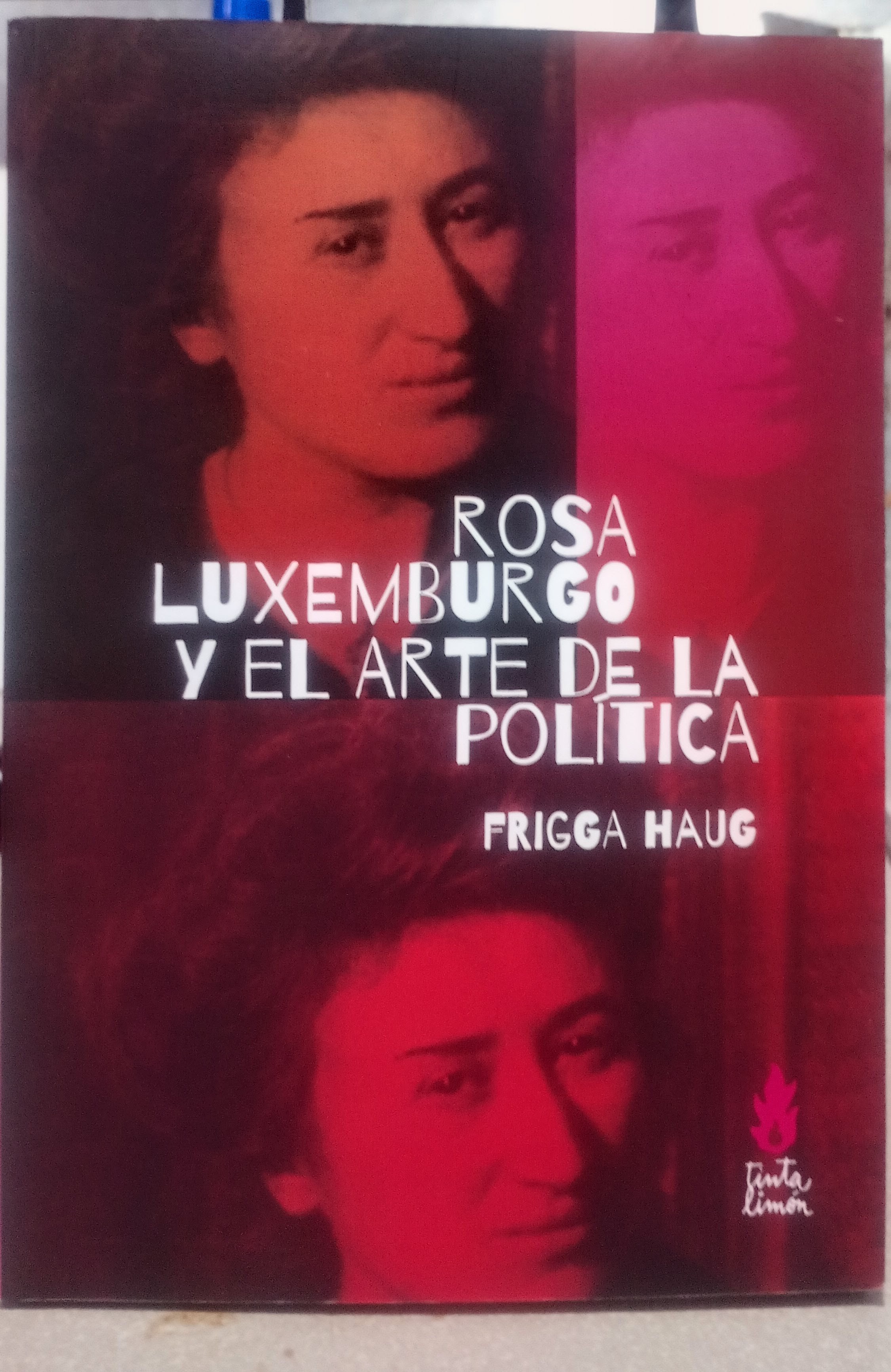 Libro Rosa Luxemburgo y el arte de la politica